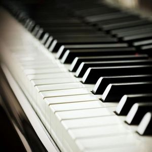 女人脱👙给女人摸🐻
